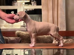 Natalie Portman of Gentle Mind