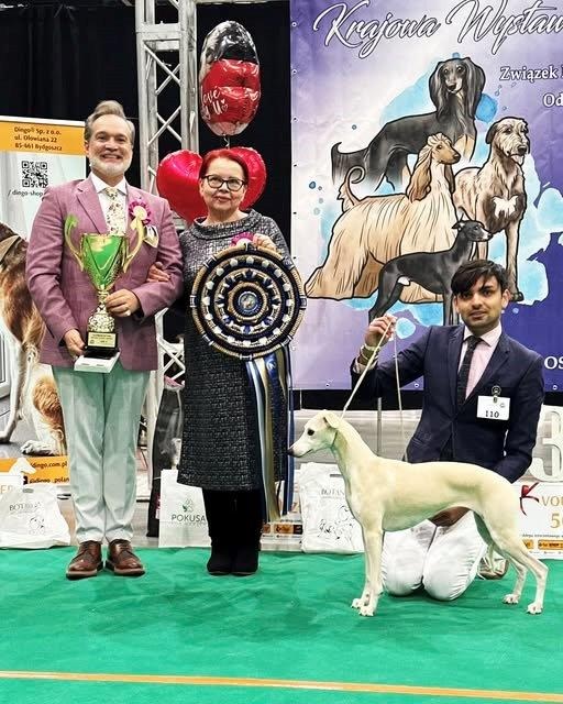 Sighthound Specialty Show Polen